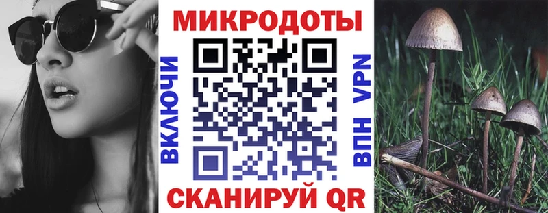 купить  цена  Михайлов  Псилоцибиновые грибы Cubensis 